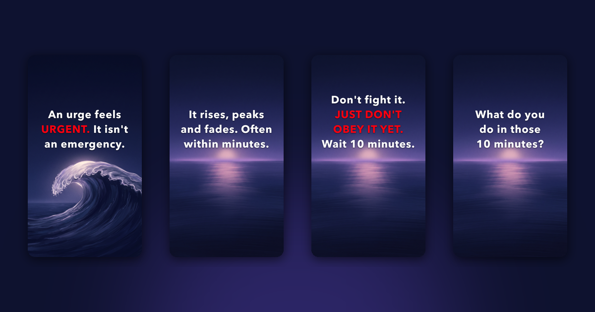 One video, four frames: a hook image, then one background with a line of text per frame.